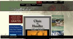 Desktop Screenshot of cavalloarabo.it